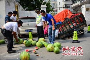 热心吃瓜市民吃瓜视频,揭秘吃瓜视频背后的故事