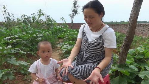 爸爸吃梨瓜视频,趣味横生的美食体验