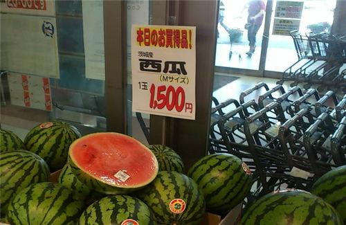 老外吃中国瓜视频,品尝地道美味，感受中华美食魅力