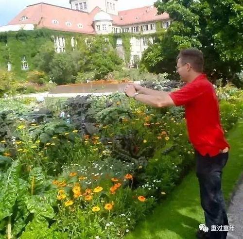 雨后的小镇吃瓜视频