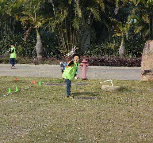 吃瓜群众种菜视频播放,跟随吃瓜群众一起体验种菜乐趣