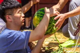 三河学院吃瓜视频,揭秘校园生活趣味瞬间