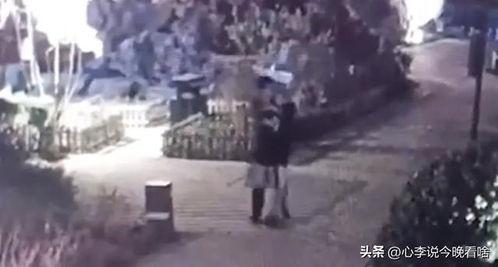 湛江吃瓜事件视频完整版,一场引发全网热议的街头冲突全纪录