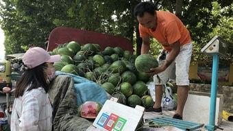 济宁北湖吃瓜事件视频