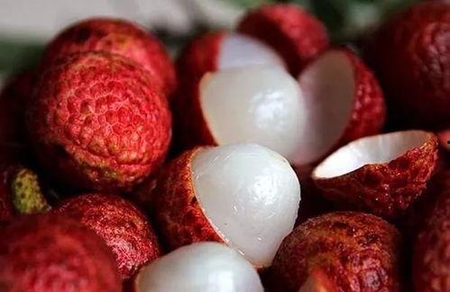 一颗荔枝吃瓜视频大全,趣味视频全集来袭