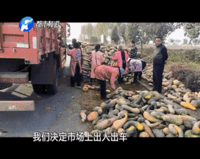 大姐吃瓜群众视频,揭秘网络热点的幕后故事